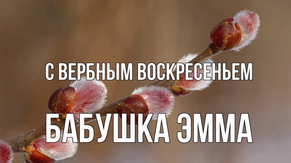 Открытка на каждый день с именем, Бабушка-Эмма С вербным воскресеньем верба Прикольная открытка с пожеланием онлайн скачать бесплатно 