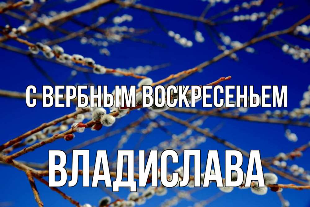 Открытка на каждый день с именем, Владислава С вербным воскресеньем верба Прикольная открытка с пожеланием онлайн скачать бесплатно 