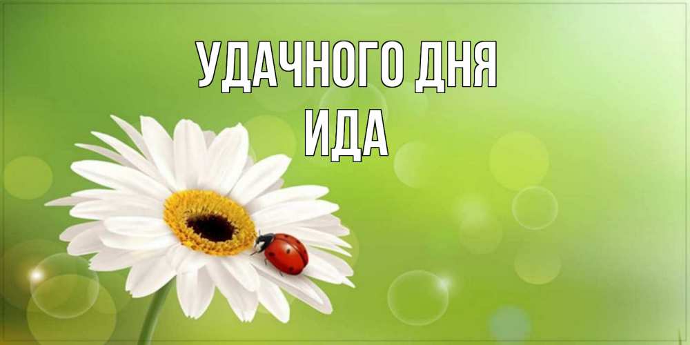 Открытка на каждый день с именем, Ида Удачного дня зеленый фон и ромашка Прикольная открытка с пожеланием онлайн скачать бесплатно 