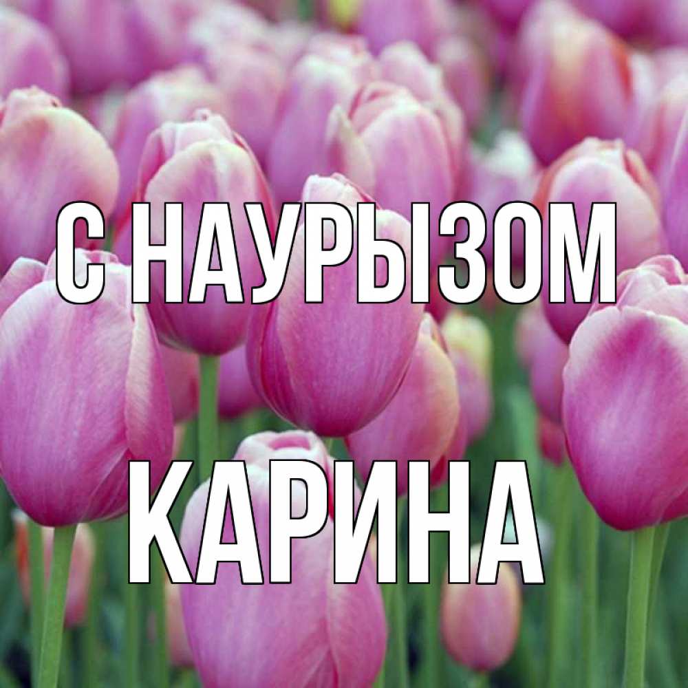 Открытка на каждый день с именем, Карина С наурызом праздник весны наурыз 69 Прикольная открытка с пожеланием онлайн скачать бесплатно 