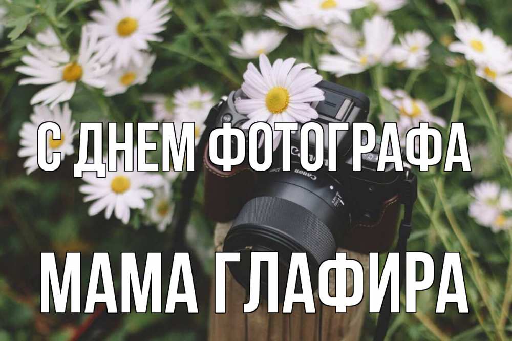 Открытка на каждый день с именем, Мама-Глафира С днем фотографа с днем фотографа Прикольная открытка с пожеланием онлайн скачать бесплатно 