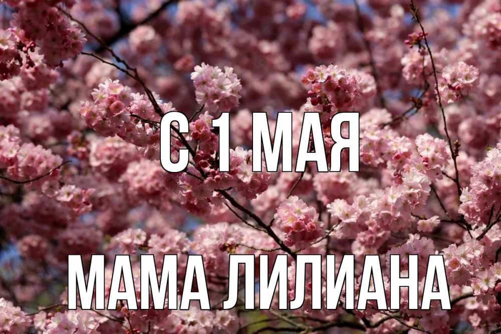 Открытка на каждый день с именем, Мама-Лилиана С 1 мая С 1 мая Прикольная открытка с пожеланием онлайн скачать бесплатно 