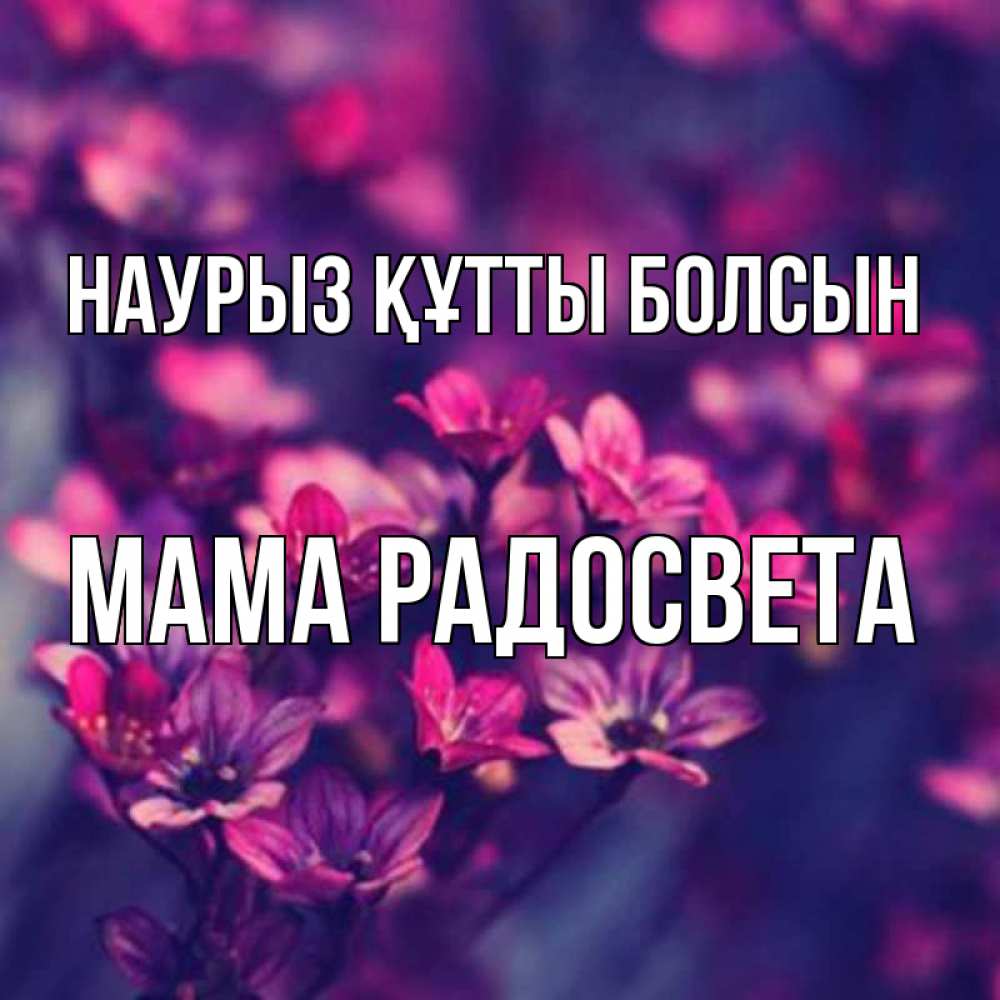 Открытка на каждый день с именем, Мама-Радосвета Наурыз құтты болсын небольшие цветы 1 Прикольная открытка с пожеланием онлайн скачать бесплатно 