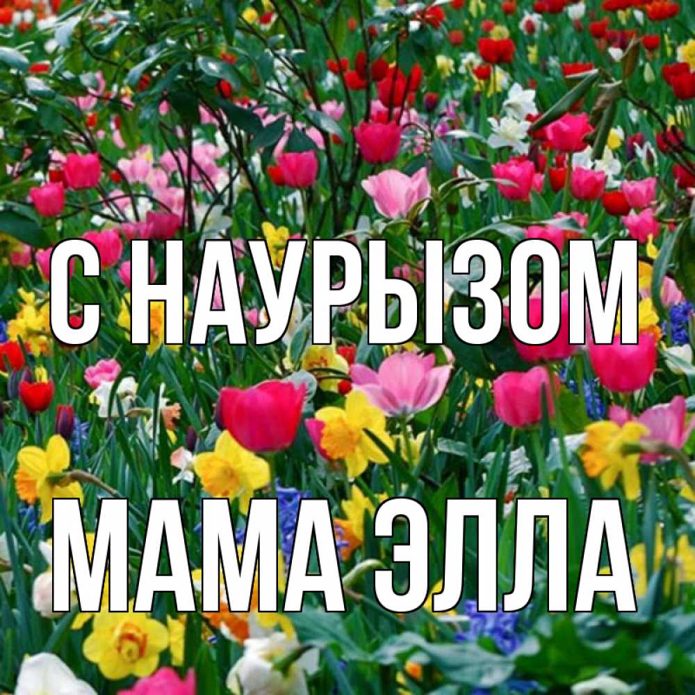 Открытка на каждый день с именем, Мама-Элла С наурызом с наурызом праздником весны поздравления для женщины Прикольная открытка с пожеланием онлайн скачать бесплатно 