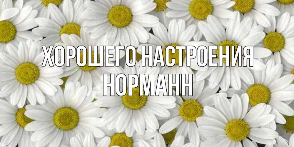 Открытка на каждый день с именем, Норманн Хорошего настроения поляна ромашек Прикольная открытка с пожеланием онлайн скачать бесплатно 