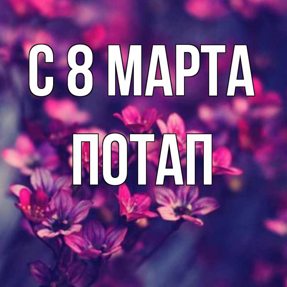 Открытка на каждый день с именем, Потап С 8 МАРТА небольшие цветы 1 Прикольная открытка с пожеланием онлайн скачать бесплатно 