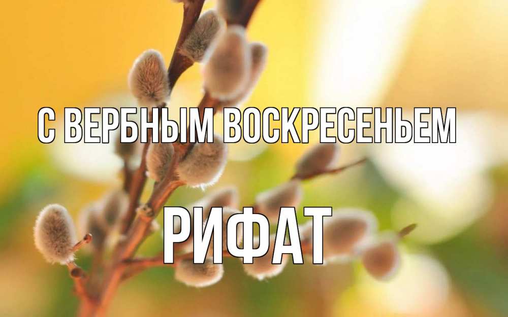 Открытка на каждый день с именем, Рифат С вербным воскресеньем верба Прикольная открытка с пожеланием онлайн скачать бесплатно 
