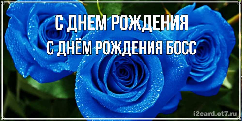 Открытка на каждый день с именем, С-Днём-Рождения-Босс С днем рождения розы с синим цветом Прикольная открытка с пожеланием онлайн скачать бесплатно 