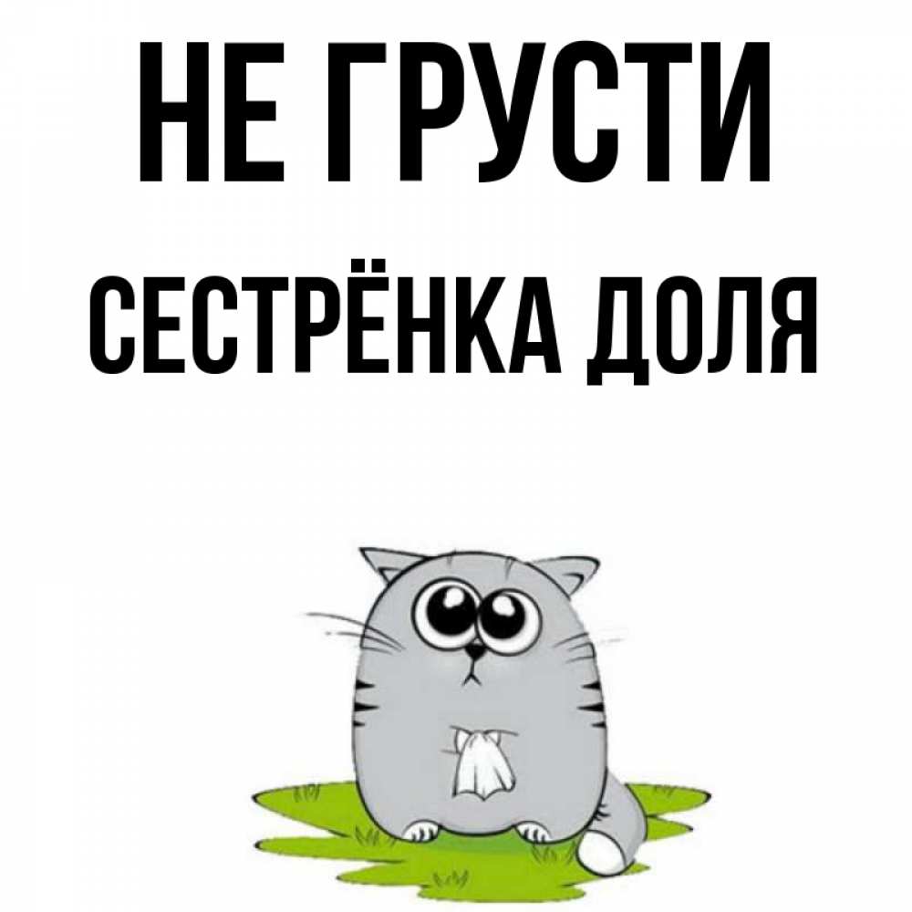 Открытка на каждый день с именем, Сестрёнка-Доля Не грусти грустный котяра Прикольная открытка с пожеланием онлайн скачать бесплатно 