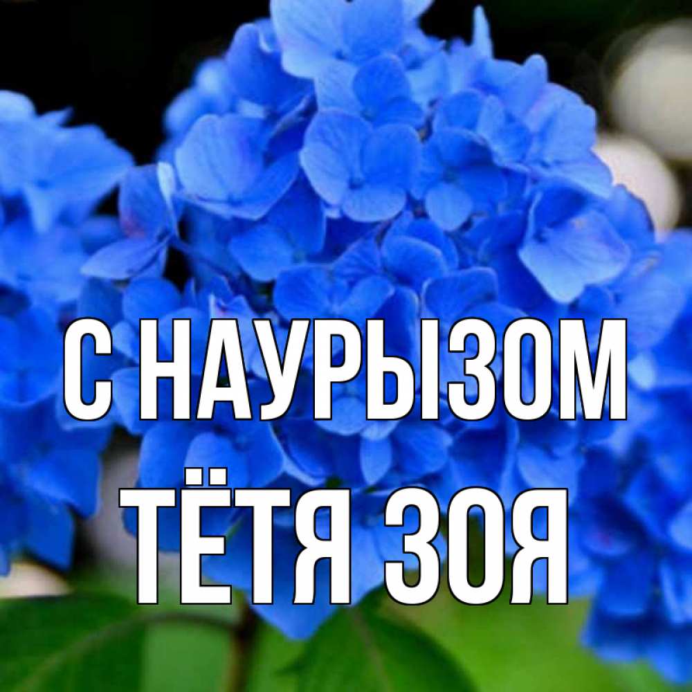 Открытка на каждый день с именем, Тётя-Зоя С наурызом синие цветы Прикольная открытка с пожеланием онлайн скачать бесплатно 