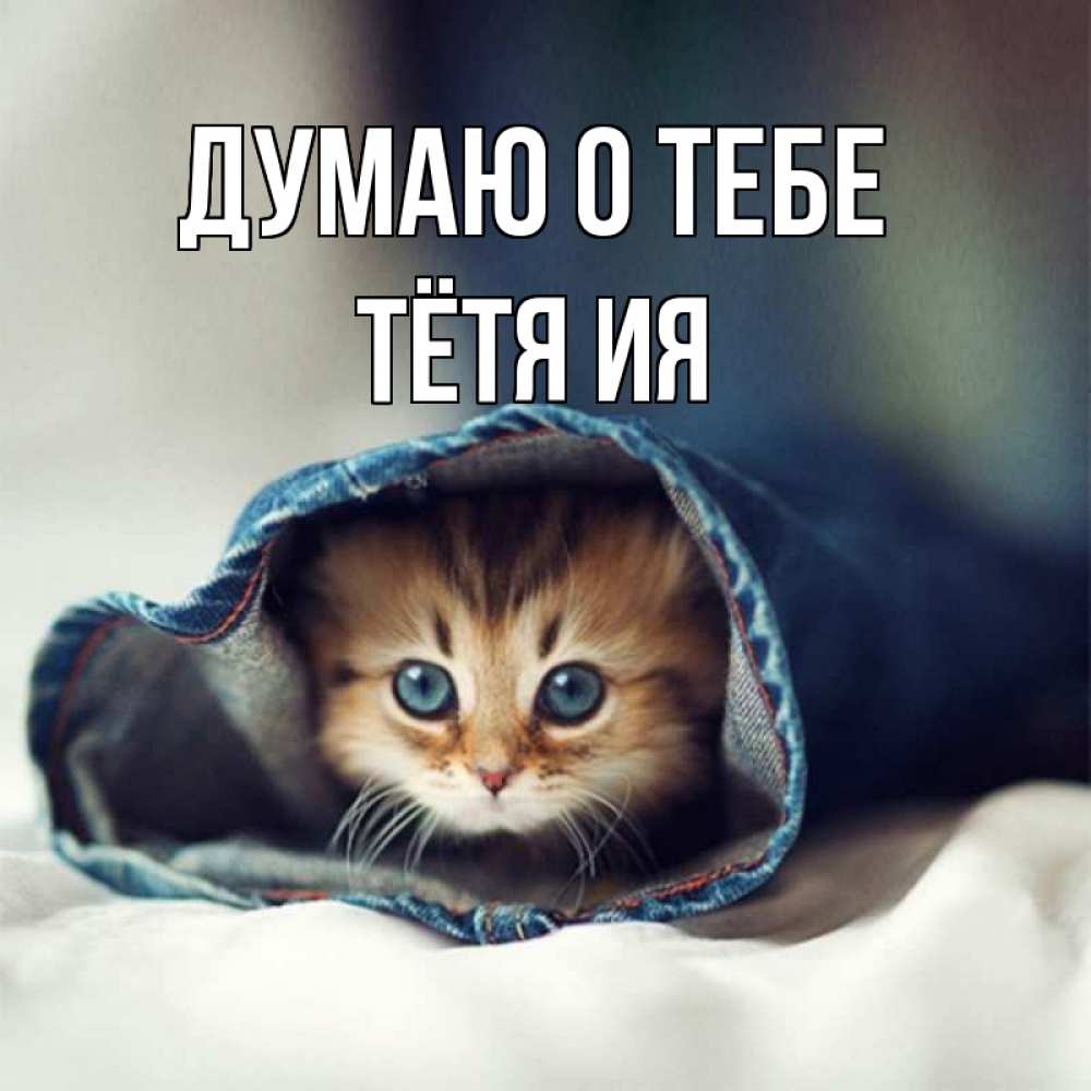 Открытка на каждый день с именем, Тётя-Ия Думаю о тебе мне без тебя плохо Прикольная открытка с пожеланием онлайн скачать бесплатно 