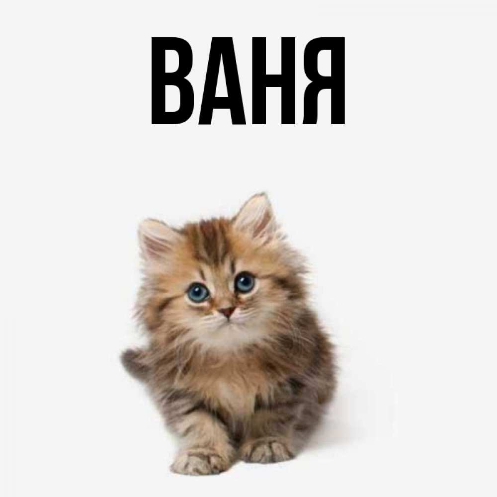 Открытки именем ваня, поздравлением днем