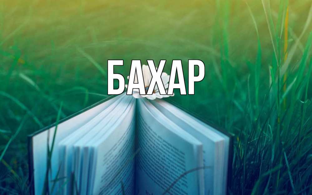 Открытка на каждый день с именем, Бахар Главная с днем учителя Прикольная открытка с пожеланием онлайн скачать бесплатно 