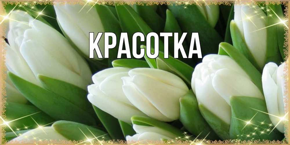 Открытка на каждый день с именем, красотка Главная поздравляем с 8 марта Прикольная открытка с пожеланием онлайн скачать бесплатно 