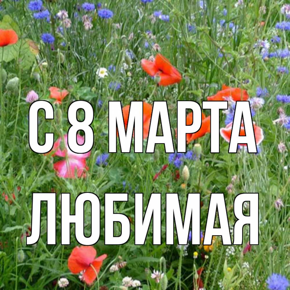 Открытка на каждый день с именем, любимая С 8 МАРТА международный женский день 4 Прикольная открытка с пожеланием онлайн скачать бесплатно 