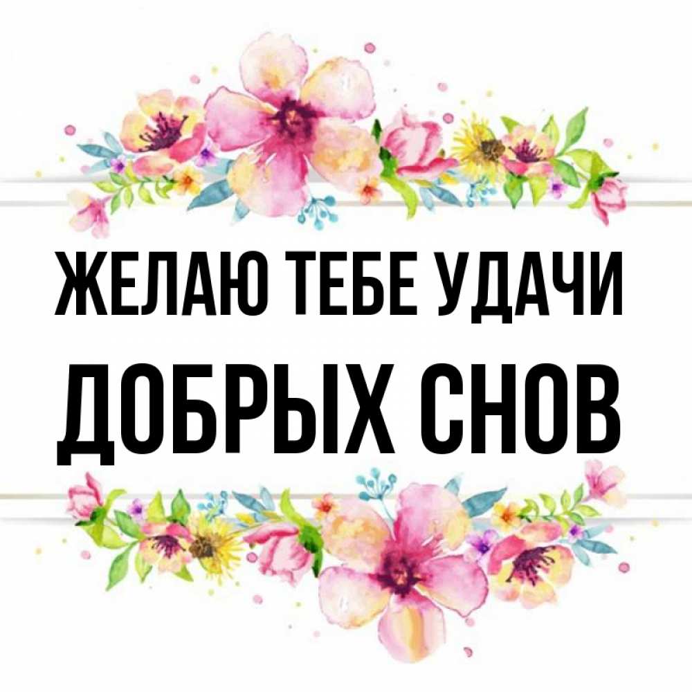 Пожелание удачи дочке на экзамене пожелать. Красивые ночные цветы. Сон желают удачи. Сказочный сон. Добрых снов друзья.