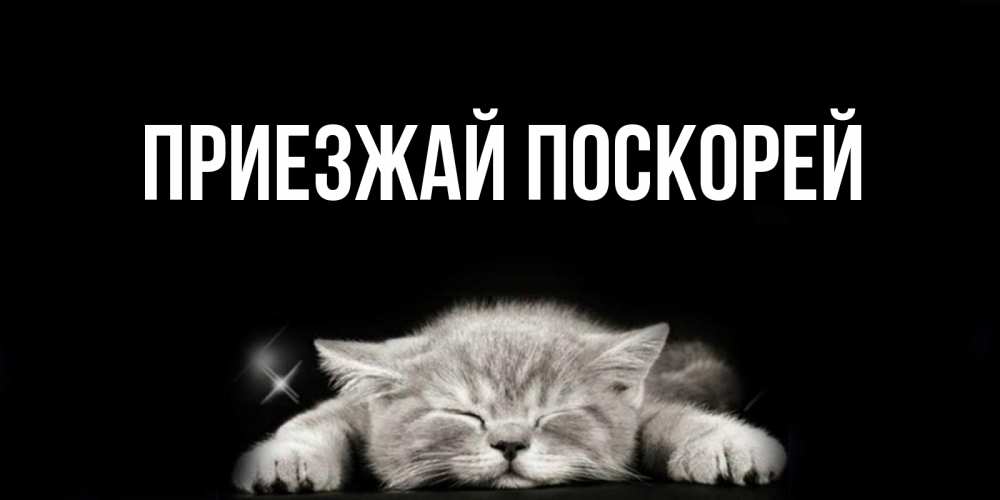 Приезжай скорее открытки, дне учителя