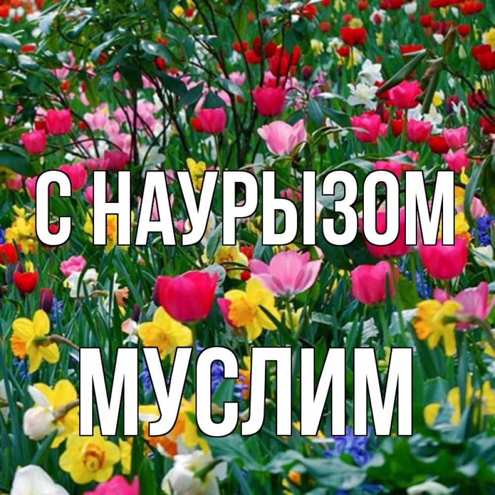 Открытка на каждый день с именем, Муслим С наурызом с наурызом праздником весны поздравления для женщины Прикольная открытка с пожеланием онлайн скачать бесплатно 