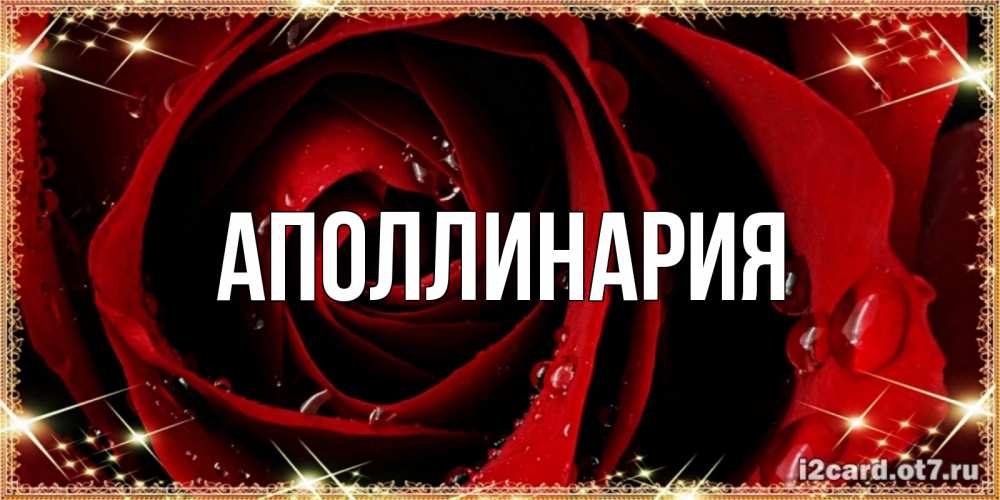 Открытка на каждый день с именем, Аполлинария Главная цветок в росе на день рождения Прикольная открытка с пожеланием онлайн скачать бесплатно 