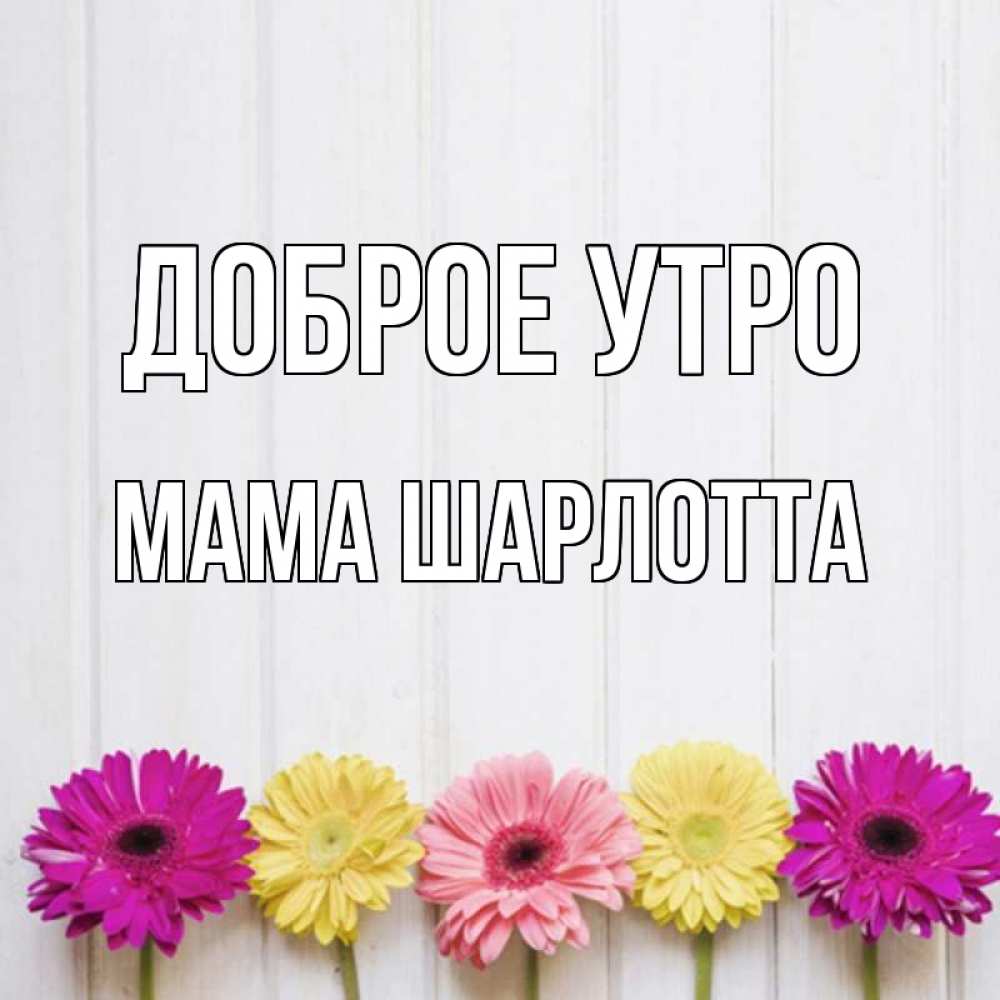 Открытка на каждый день с именем, Мама-Шарлотта Доброе утро красный желтый и розовый цветок Прикольная открытка с пожеланием онлайн скачать бесплатно 