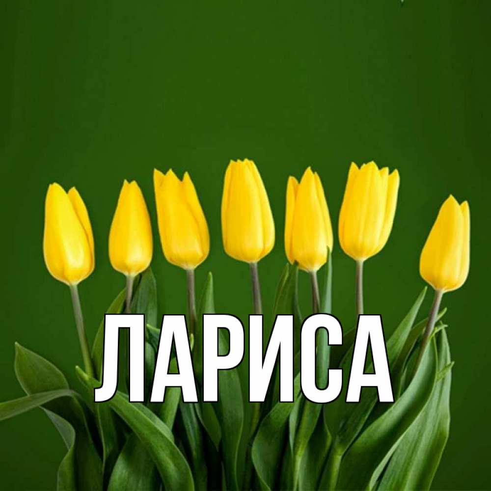 Картинка с именем лариса красивая