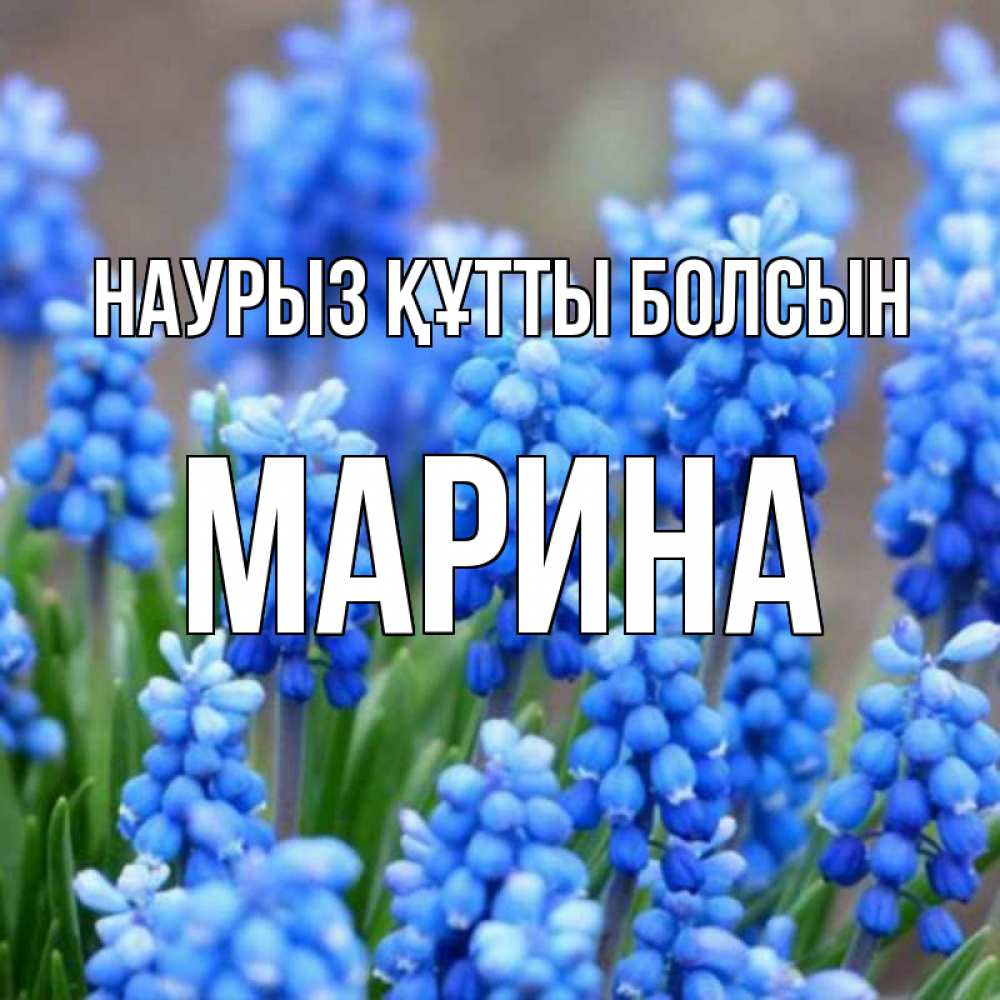 Открытка на каждый день с именем, Марина Наурыз құтты болсын Поздравительная открытка для женщин с цветами на праздничную дату Прикольная открытка с пожеланием онлайн скачать бесплатно 