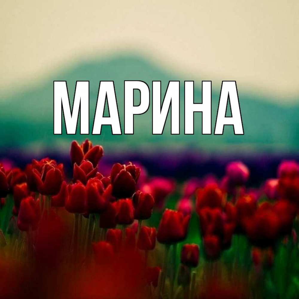 Открытка на каждый день с именем, Марина Главная тюльпаны 4 Прикольная открытка с пожеланием онлайн скачать бесплатно 