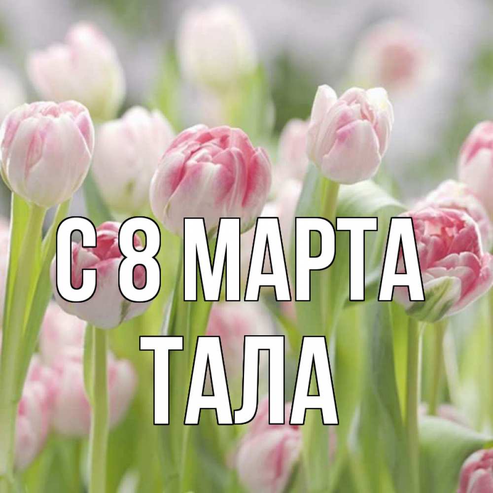 Открытка на каждый день с именем, Тала С 8 МАРТА цветы Прикольная открытка с пожеланием онлайн скачать бесплатно 
