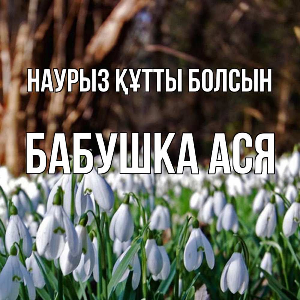 Открытка на каждый день с именем, Бабушка-Ася Наурыз құтты болсын с подснежниками 1 Прикольная открытка с пожеланием онлайн скачать бесплатно 