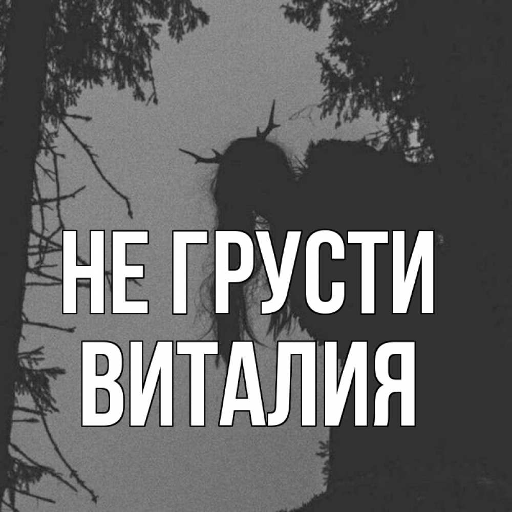 Открытка на каждый день с именем, Виталия Не грусти чудище лесное Прикольная открытка с пожеланием онлайн скачать бесплатно 