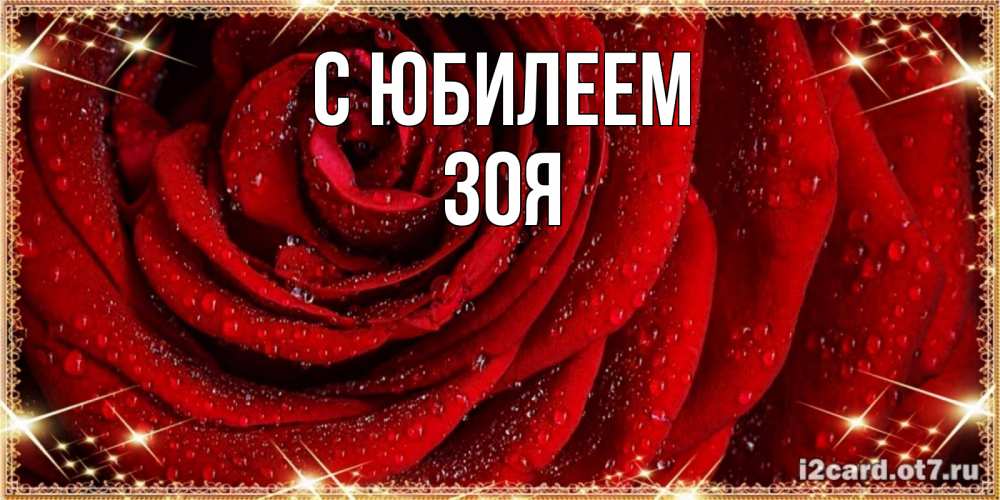 Открытка на каждый день с именем, Зоя С юбилеем роса на розе блестящая в лучах солнца Прикольная открытка с пожеланием онлайн скачать бесплатно 