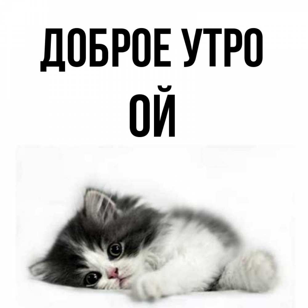 Открытка на каждый день с именем, Ой Доброе утро кот лапки Прикольная открытка с пожеланием онлайн скачать бесплатно 