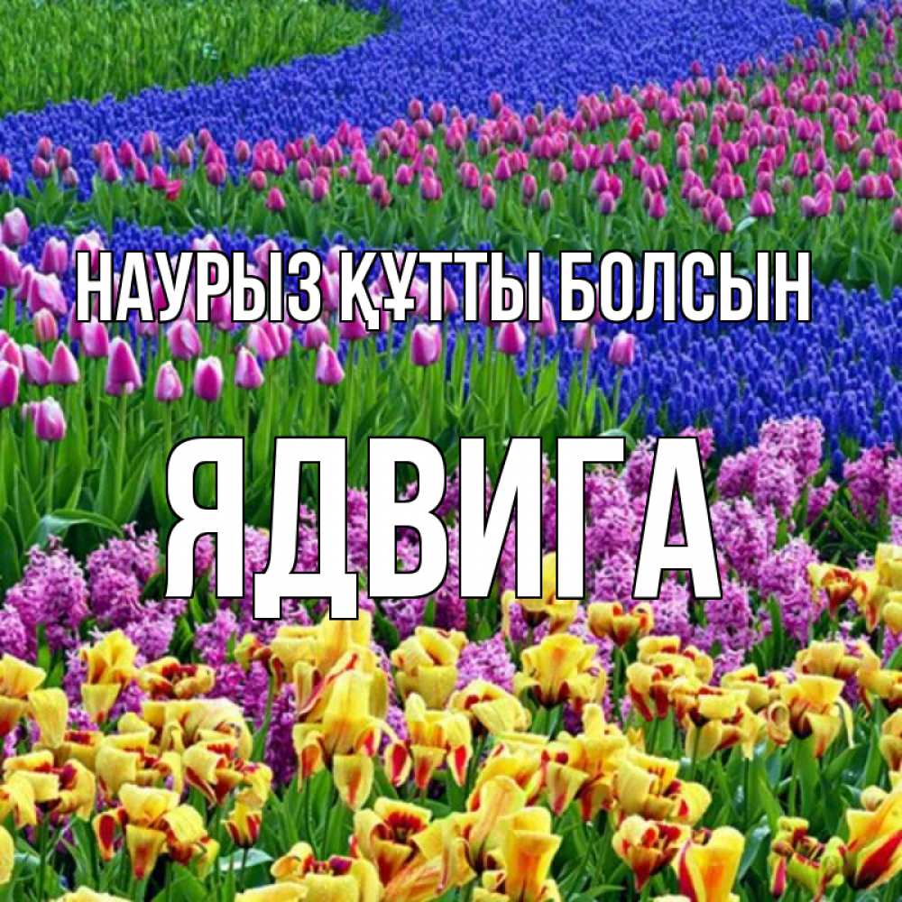 Открытка на каждый день с именем, Ядвига Наурыз құтты болсын цветы Прикольная открытка с пожеланием онлайн скачать бесплатно 