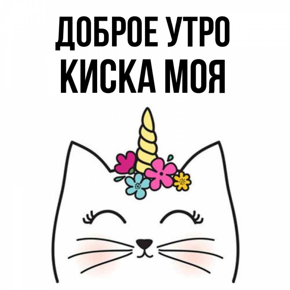 Моя киска