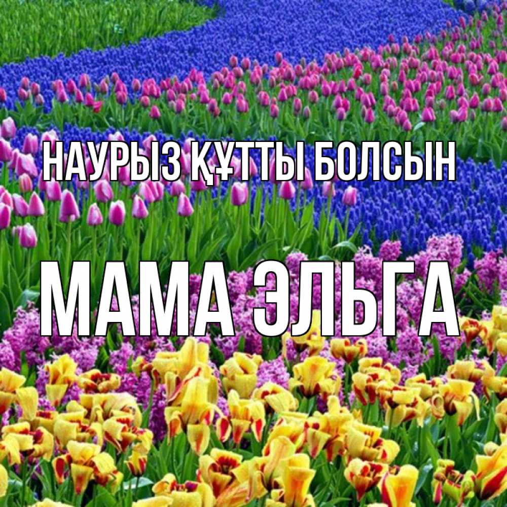 Открытка на каждый день с именем, Мама-Эльга Наурыз құтты болсын цветы Прикольная открытка с пожеланием онлайн скачать бесплатно 
