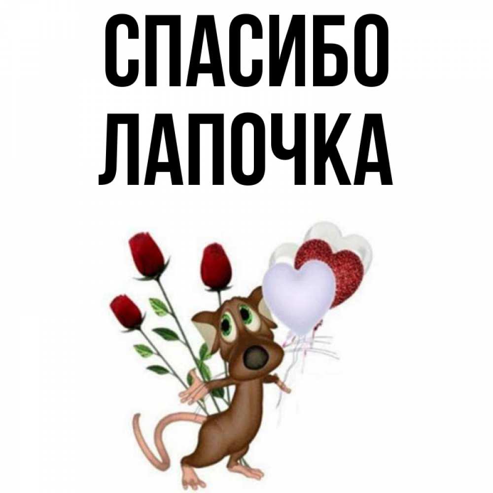 Ты лапочка картинки