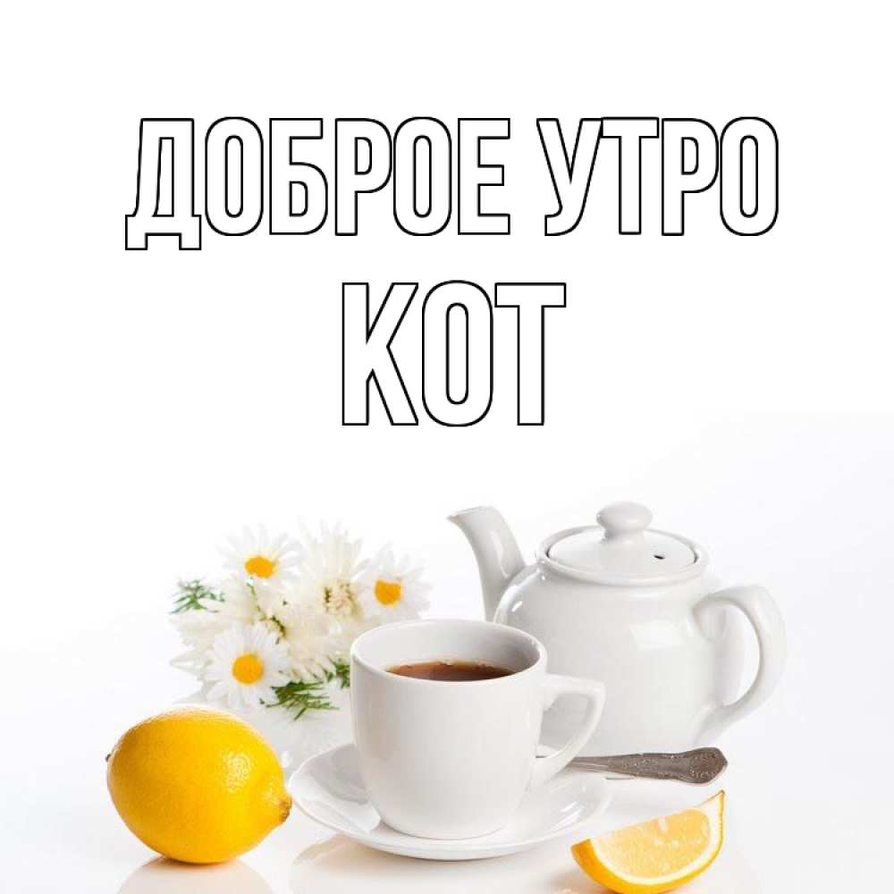 Открытка на каждый день с именем, Кот Доброе утро сиреневые цветы Прикольная открытка с пожеланием онлайн скачать бесплатно 