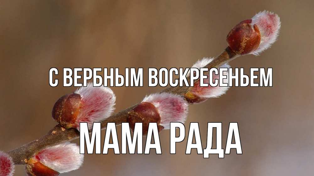 Открытка на каждый день с именем, Мама-Рада С вербным воскресеньем верба Прикольная открытка с пожеланием онлайн скачать бесплатно 