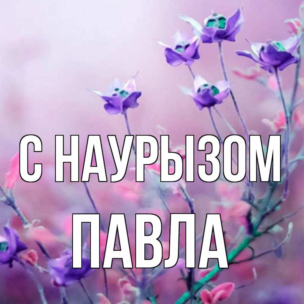 Открытка на каждый день с именем, Павла С наурызом международный женский день 2 Прикольная открытка с пожеланием онлайн скачать бесплатно 
