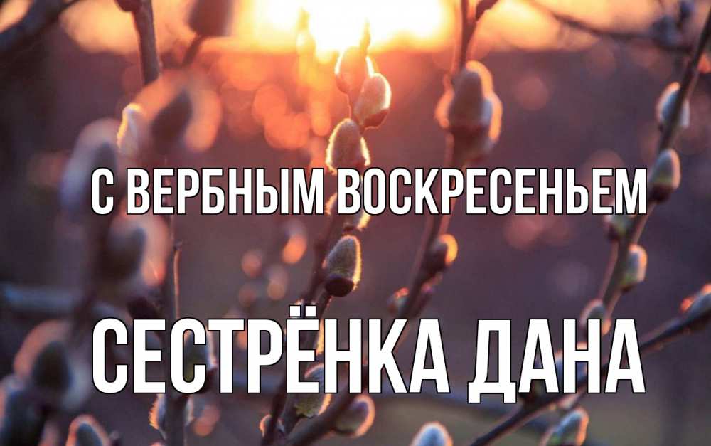 Открытка на каждый день с именем, Сестрёнка-Дана С вербным воскресеньем верба Прикольная открытка с пожеланием онлайн скачать бесплатно 