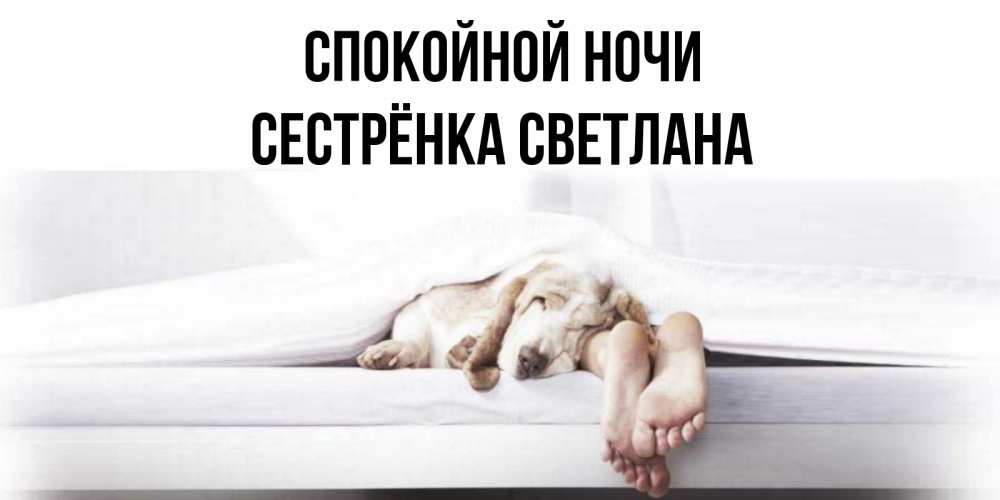 Открытка на каждый день с именем, Сестрёнка-Светлана Спокойной ночи кровать с собакой пожелание сладких снов и спокойной ночи Прикольная открытка с пожеланием онлайн скачать бесплатно 