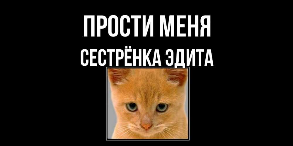 Открытка на каждый день с именем, Сестрёнка-Эдита Прости меня рыжий грустный кот просит прощения Прикольная открытка с пожеланием онлайн скачать бесплатно 