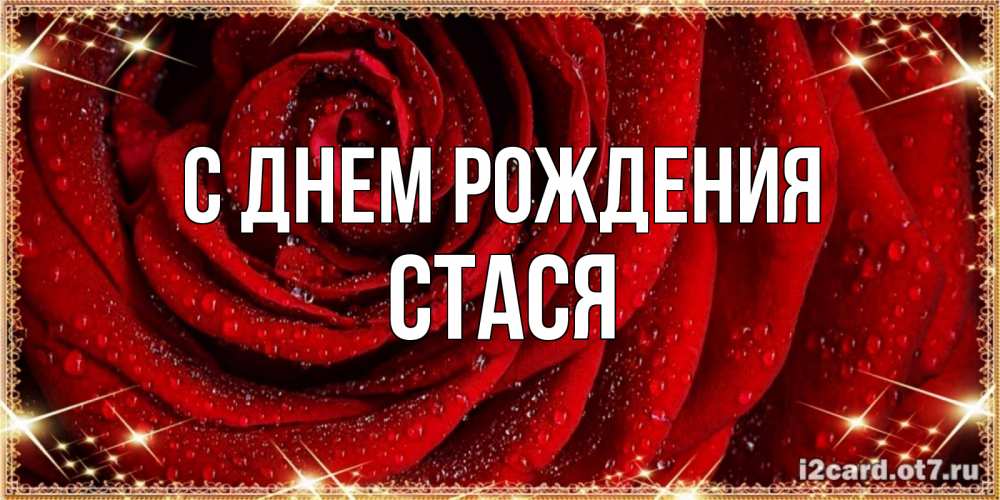 Открытка на каждый день с именем, Стася С днем рождения роса на розе блестящая в лучах солнца Прикольная открытка с пожеланием онлайн скачать бесплатно 