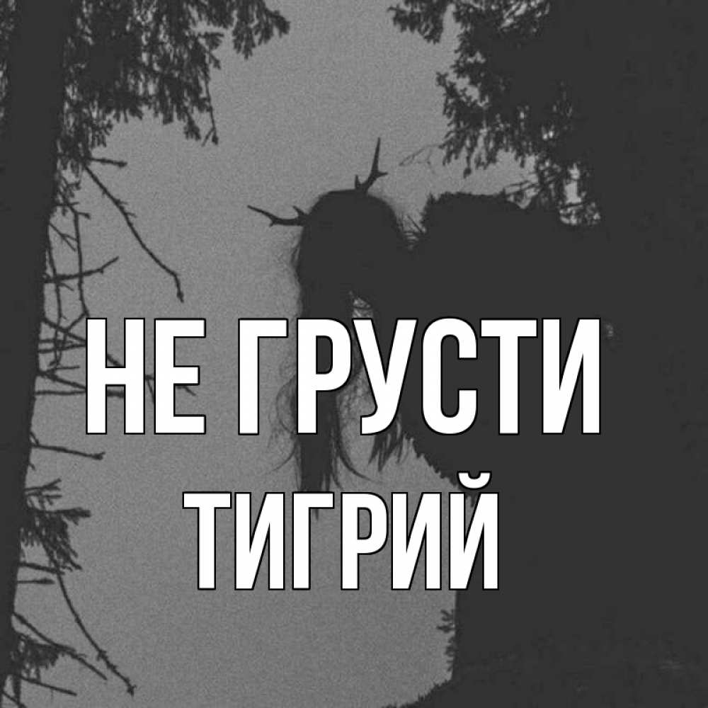 Открытка на каждый день с именем, Тигрий Не грусти чудище лесное Прикольная открытка с пожеланием онлайн скачать бесплатно 