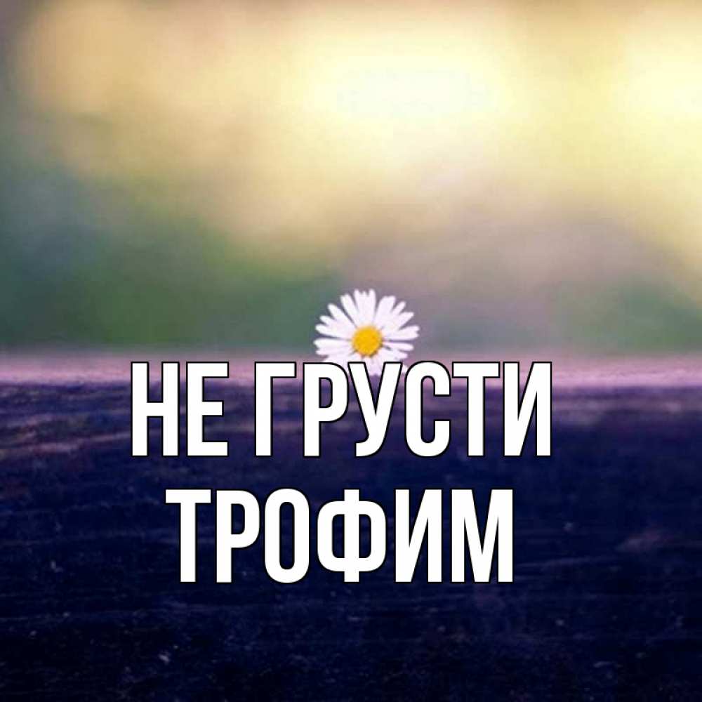 Открытка на каждый день с именем, Трофим Не грусти красота Прикольная открытка с пожеланием онлайн скачать бесплатно 