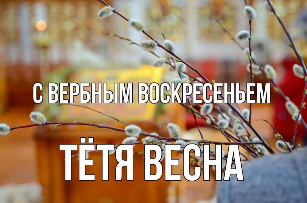 Открытка на каждый день с именем, Тётя-Весна С вербным воскресеньем верба Прикольная открытка с пожеланием онлайн скачать бесплатно 