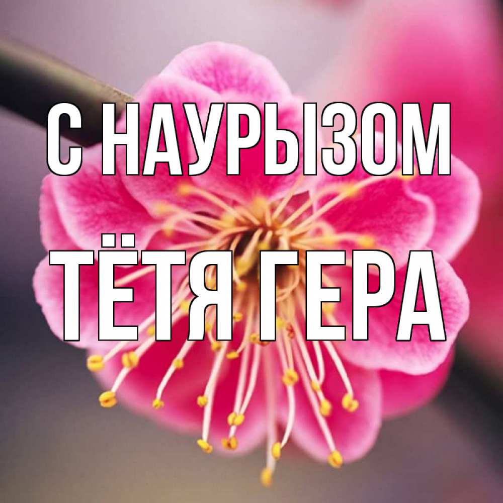 Открытка на каждый день с именем, Тётя-Гера С наурызом цветы Прикольная открытка с пожеланием онлайн скачать бесплатно 