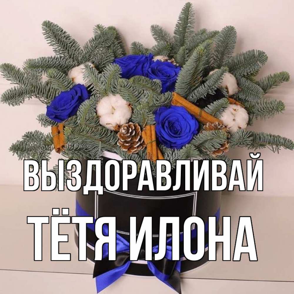 Открытка на каждый день с именем, Тётя-Илона Выздоравливай короче кто то загрузил эти шишки Прикольная открытка с пожеланием онлайн скачать бесплатно 
