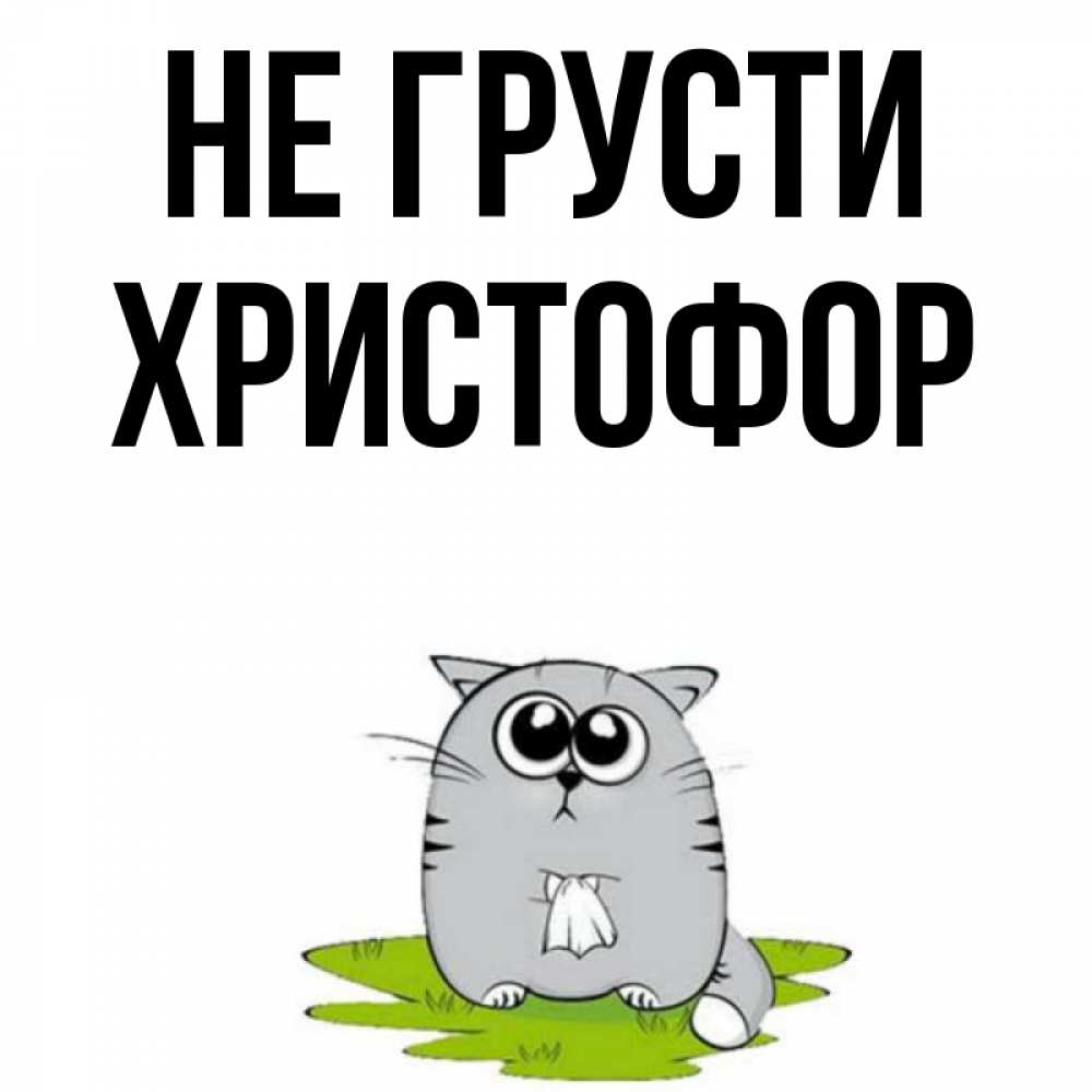 Открытка на каждый день с именем, Христофор Не грусти грустный котяра Прикольная открытка с пожеланием онлайн скачать бесплатно 