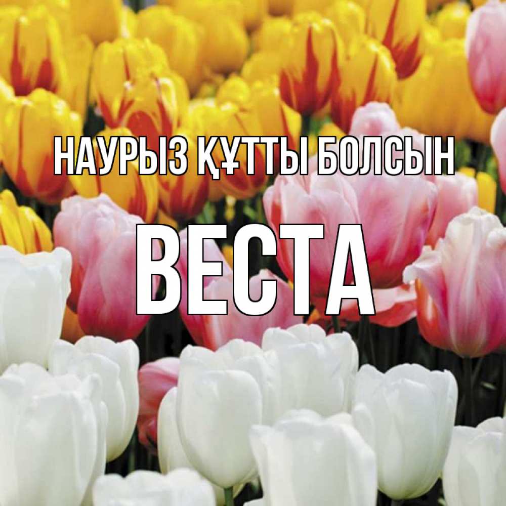 Открытка на каждый день с именем, Веста Наурыз құтты болсын разноцветные цветы Прикольная открытка с пожеланием онлайн скачать бесплатно 
